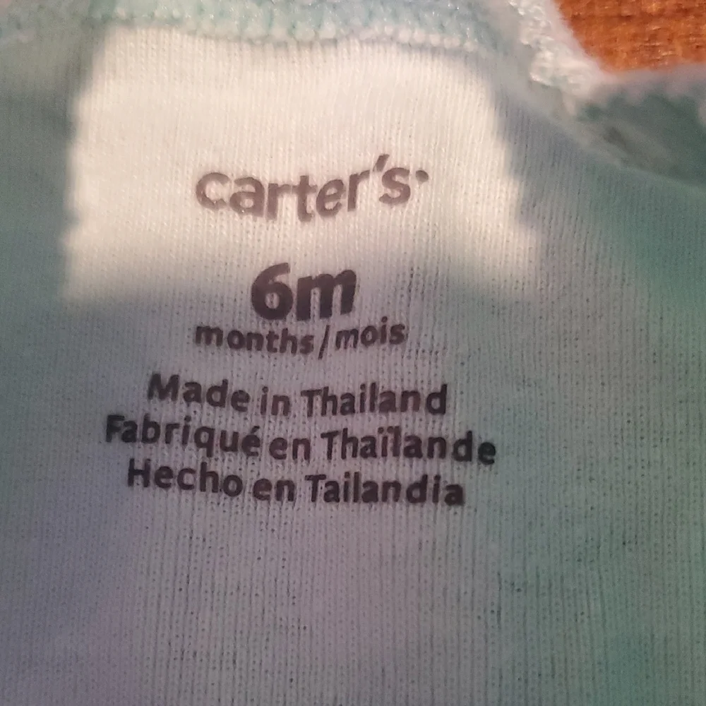 Carter's Aqua Swan Pattern